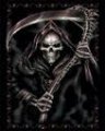 DARCK's Avatar
